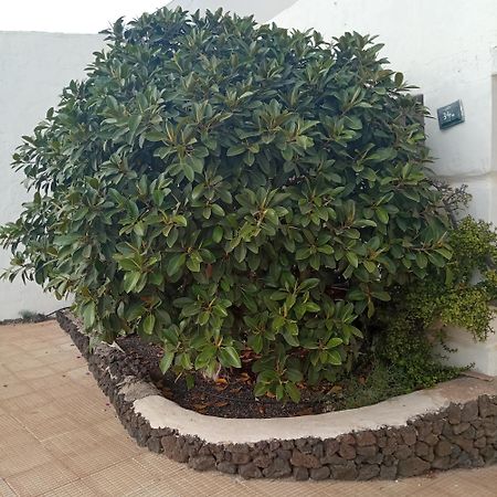 Aguas Verdes Betancuría Екстериор снимка